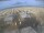 Webcam in Bellariva di Rimini, 2.5 km
