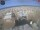 Webcam in Bellariva di Rimini, 2.1 km