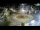Webcam in Rogoznica, 0.7 km