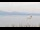 Webcam in North Saanich, 67.4 km