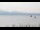 Webcam in North Saanich, 60.6 km