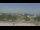 Webcam in Bethany, Missouri, 262.4 km
