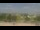 Webcam in Bethany, Missouri, 101.2 mi away