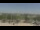 Webcam in Bethany, Missouri, 173.6 km