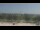 Webcam in Bethany, Missouri, 348.9 km