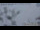 Webcam sur le Hochkönig, 6 km