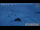 Webcam in Heiligenblut, 6.1 km entfernt