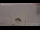 Webcam in Heiligenblut, 5.4 km