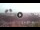 Webcam in Tortoreto Lido, 20.3 mi away