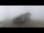 Webcam in Chäserrugg, 16.3 km