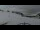 Webcam in Villars-sur-Ollon, 0.4 mi away