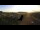 Webcam in Gündlikon, 9.4 mi away