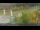 Webcam in Schierke, 4.2 mi away