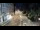 Webcam in Görz, 8.8 km entfernt
