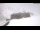 Webcam in Neue Heilbronner Hütte, 8.5 km