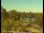 Webcam in Obernau am Main, 8.1 km entfernt