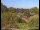 Webcam in Obernau am Main, 4 mi away