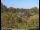 Webcam in Obernau am Main, 29.7 km