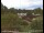 Webcam in Obernau am Main, 11.4 mi away