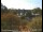 Webcam in Obernau am Main, 11.4 mi away