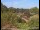 Webcam in Obernau am Main, 29.2 km entfernt