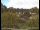Webcam in Obernau am Main, 11.4 mi away