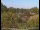 Webcam in Obernau am Main, 4 mi away