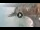 Webcam in Camogli, 1.4 km entfernt