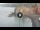 Webcam in Camogli, 0.1 mi away