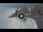 Webcam in Camogli, 6.2 km