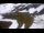 Webcam in Aragnouet, 18.8 km