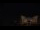 Webcam in Aragnouet, 22 km entfernt