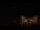 Webcam in Aragnouet, 0 km entfernt