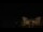 Webcam in Aragnouet, 0 km