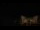 Webcam in Aragnouet, 0 mi away