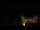 Webcam in Aragnouet, 0 mi away