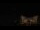 Webcam in Aragnouet, 0 km