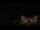 Webcam in Aragnouet, 22 km entfernt