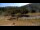 Webcam in Formiguères, 4.7 km