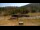 Webcam in Formiguères, 9.5 km