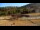Webcam in Formiguères, 4.7 km