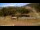 Webcam in Formiguères, 1.8 mi away