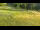 Webcam in La Norma, 1.8 km entfernt