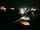 Webcam in Perpignan, 24.2 km
