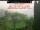 Webcam in Karlstrup, 30.3 km entfernt