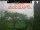 Webcam in Karlstrup, 20.5 km entfernt