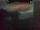 Webcam in Karlstrup, 29.6 mi away