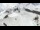 Webcam in Saas-Fee, 5.5 km entfernt