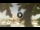 Webcam in Athens, 3.5 mi away
