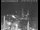 Webcam in San Gimignano, 14.8 mi away